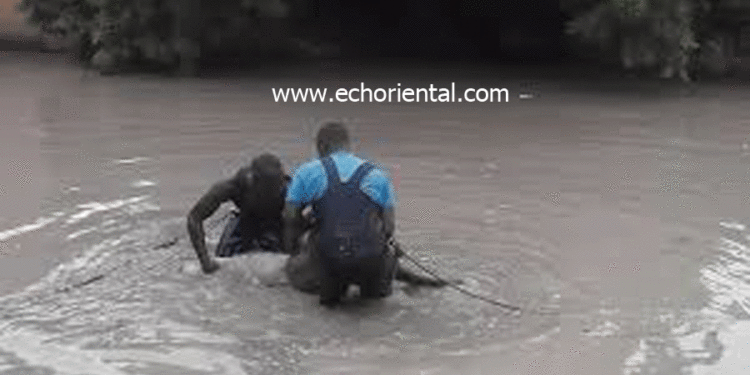 Urgent : Noyade, un agent du Parc de Niokolo Koba est mort dans les eaux