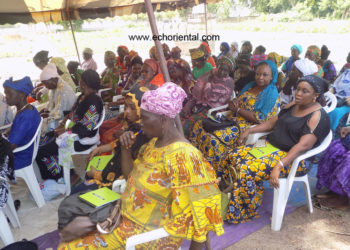 Tamba : les femmes des périmètres maraîchers de l’Afd et  ActionAid en renforcement de capacités