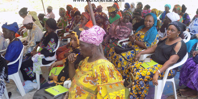 Tamba : les femmes des périmètres maraîchers de l’Afd et  ActionAid en renforcement de capacités