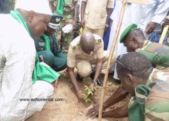 Tambacounda : Journée de l’arbre, Koumpentoum abrite la cérémonie pour « façonner des pôles verts de demain »