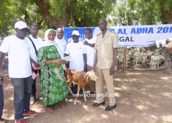 Tabaski 2018: Le SIF distribue 250 moutons aux ménages vulnérables de Tamba et Sinthiou Maléme