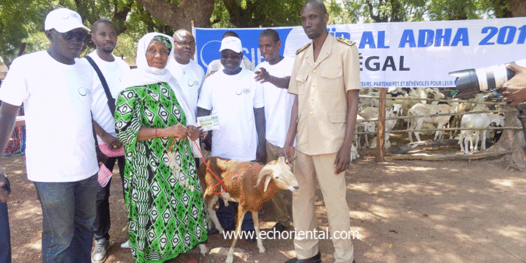 Tabaski 2018: Le SIF distribue 250 moutons aux ménages vulnérables de Tamba et Sinthiou Maléme