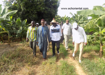 Tambacounda : Le ministre de l’agriculture dans les périmètres arachidiers et bananiers