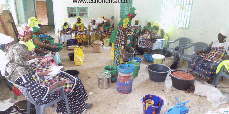 Tamba : 20 femmes du Comité Consultatif à l’école de la transformation de fruits et légumes