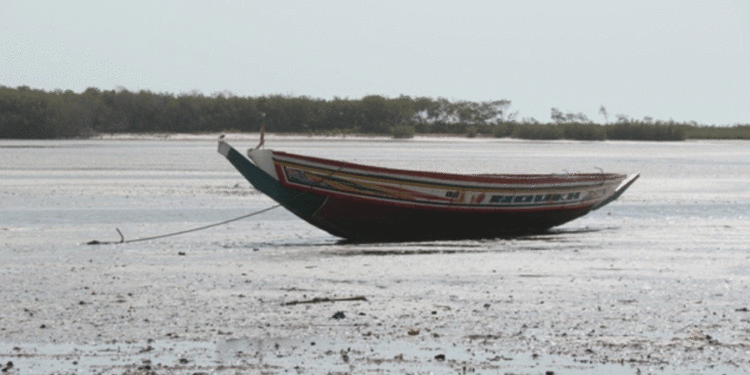 URGENT: 12 pêcheurs portés disparus en Casamance