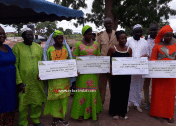 Tamba-Koussanar : l’Afd et  ActionAid, remettent 9 chèques de presque 5 millions de francs Cfa aux femmes des périmètres maraichers