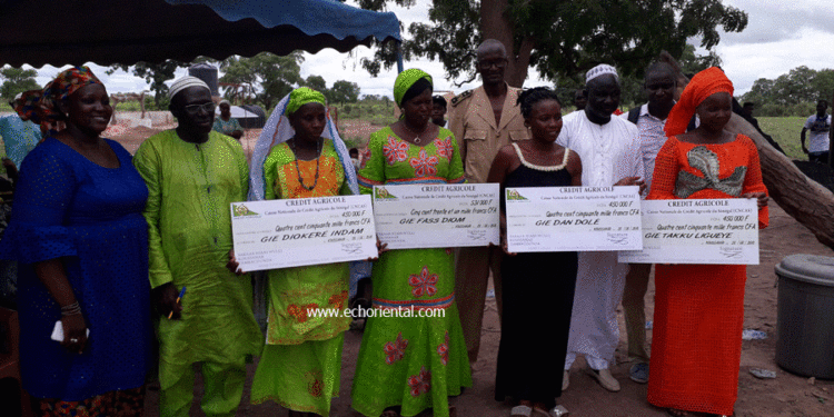 Tamba-Koussanar : l’Afd et  ActionAid, remettent 9 chèques de presque 5 millions de francs Cfa aux femmes des périmètres maraichers