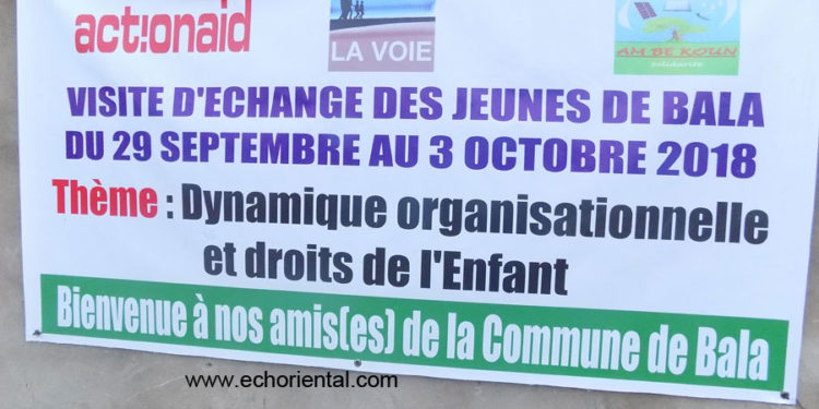 Tamba : Mini camp, 15 jeunes de Bala à l’école de l’association « La Voie » pour des échanges d’expériences