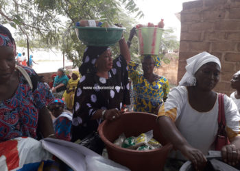 Tamba : Les femmes du comité consultatif à l’assaut du marché pour des légumes bio