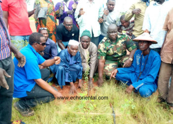 Tamba : Menuisiers et bûcherons de la chambre des métiers reboisent plus de dix milles plans à Koussanar