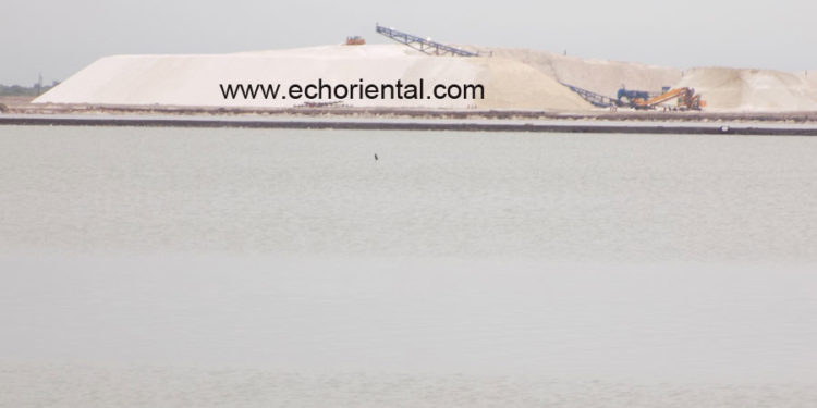 URGENT: Sel Sénégalais, attention, danger de mort !