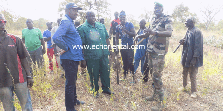 Lancement de la campagne de lutte contre les feux de brousse: Un pare-feu, de plus de 6 km, aménagé à Maka Colibantang