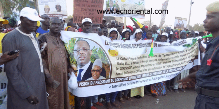 Macky à Tamba : Mamadou Oumar Sall pour une démonstration de force