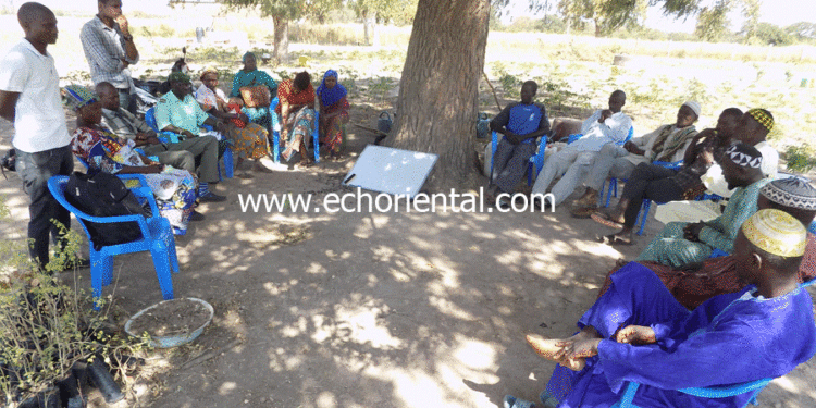 Tambacounda : « Am Be Koun solidarité » en croisade contre les feux de brousse