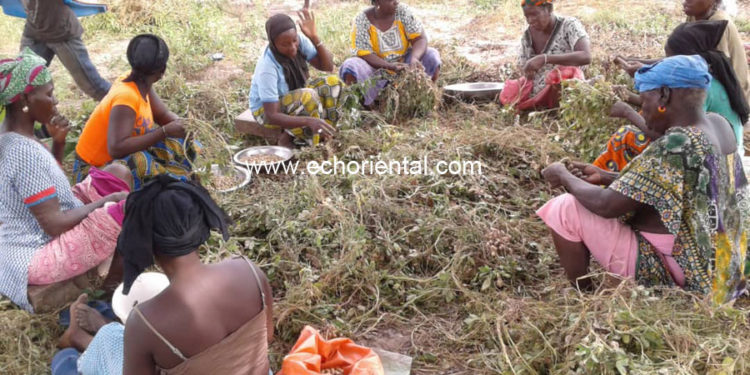 Bala : ActionAid et Am Bé Koun Solidarité célèbrent la journée de la femme rurale sur justice et égalité des droits…