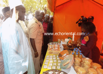 Tambacounda : 4e édition de la foire régionale de l’artisanat sur la valorisation des ressources naturelles.