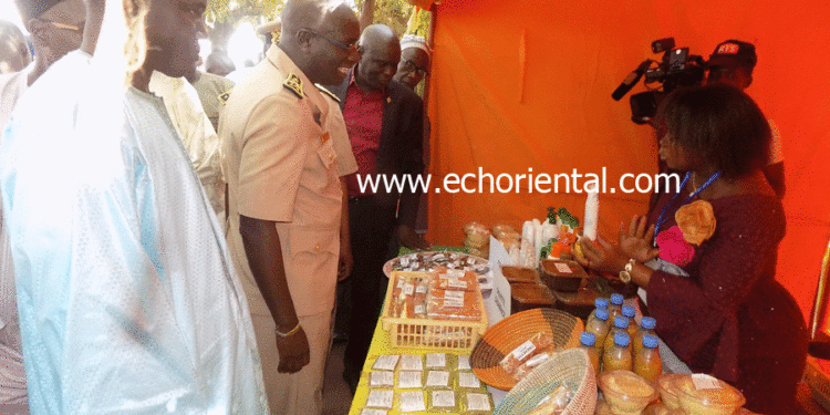 Tambacounda : 4e édition de la foire régionale de l’artisanat sur la valorisation des ressources naturelles.