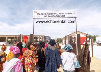 Tambacounda dispose d’un marché central aux poissons d’un coût de 250 millions fcfa