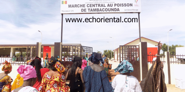 Tambacounda dispose d’un marché central aux poissons d’un coût de 250 millions fcfa