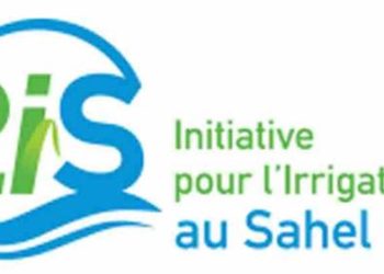 Communiqué de presse (document) CRD d’information sur le projet d’appui régional à l’initiative pour l’irrigation au Sahel.