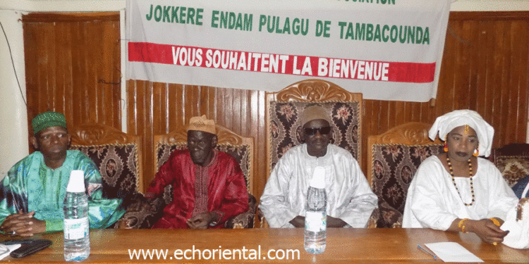 Tambacounda: L’association « Jokkéré Endam Pulagu » lancée pour une union forte de la communauté « haal pular »