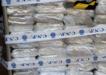 Guinée-Bissau : Saisie record de 800 kg de cocaïne dans un camion sénégalais
