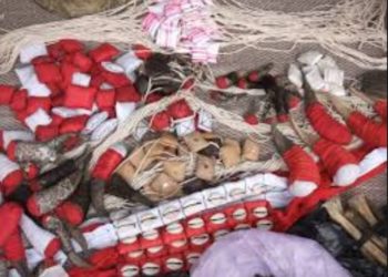 Vers le nouveau Gouvernement : Campagne mystique pour poste ministériel