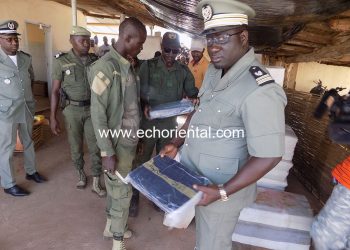 Tambacounda : 915 kg de chanvre indien saisis à Gouloumbou par la Douane