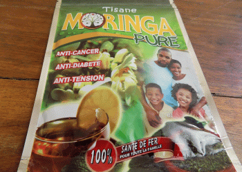 Communiqué : Lutte contre le Diabéte, le Cancer, la Tension…, la Tisane de  Moringa arrive à Tambacounda