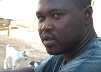 Le suspect n°1 Acko Diop est libéré