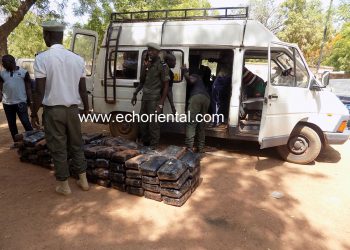 Tambacounda : La douane a encore mis la main sur plus de 195 kg de chanvre indien ce matin à Dialacoro