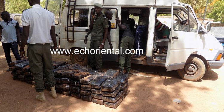 Tambacounda : La douane a encore mis la main sur plus de 195 kg de chanvre indien ce matin à Dialacoro
