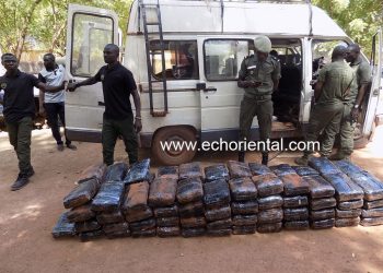 Tambacounda : La douane a encore mis la main sur plus de 195 kg de chanvre indien ce matin à Dialacoro
