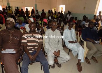 L’IEF de Tamba en partenariat avec l’Ong 3D, sensibilise par le théâtre,  sur les maladies Tropicales Négligées.