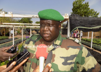 Tambacounda: Le service des eaux et forêts, soutenu par  les populations, pour  une production massive de plants.