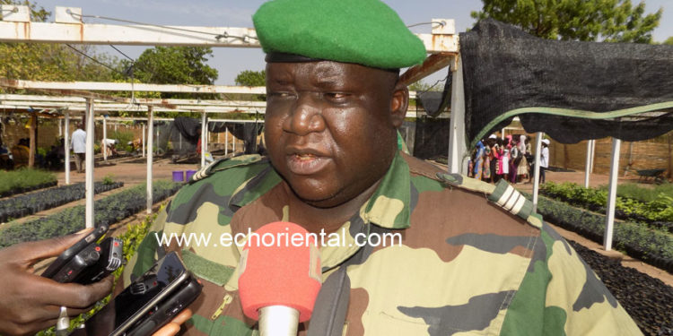 Tambacounda: Le service des eaux et forêts, soutenu par  les populations, pour  une production massive de plants.