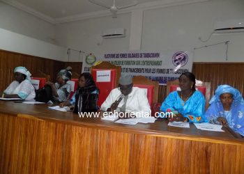 Tambacounda : Les femmes de la région sensibilisées en entreprenariat et à l’autonomisation par le FST et le Promise