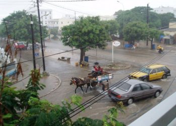 Hivernage 2019 : Tamba reçoit 37 mm, 57 à Maka…, les conseils du DRDR