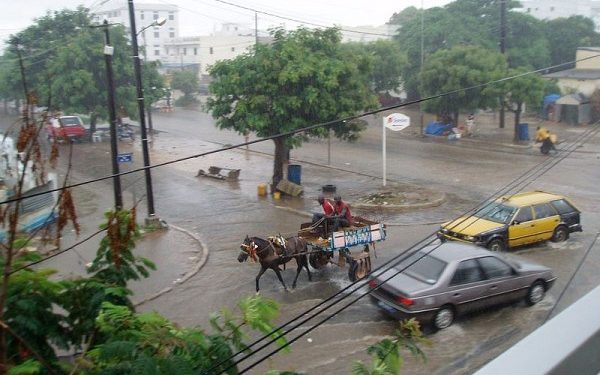 Hivernage 2019 : Tamba reçoit 37 mm, 57 à Maka…, les conseils du DRDR