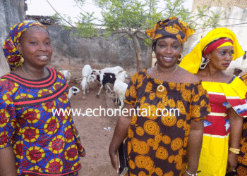 Tambacounda : Les femmes des « calebasses » Dirfel de Gourél Diadié se partagent plus de 7 millions de francs Cfa d’épargne.