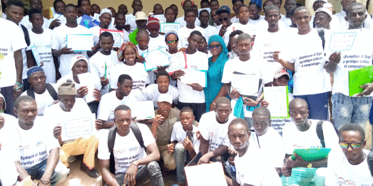 Niani Toucouleur : 90 jeunes formés en bonnes pratiques culturales et techniques de compostage, par le programme « Réussir au Sénégal »