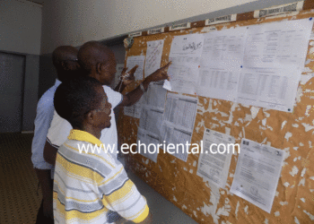 édition 2019 des Journées de l’Excellence, du Partenariat et du Sport de l’IEF de Tamba : Les élèves lauréats sont connus (Document)