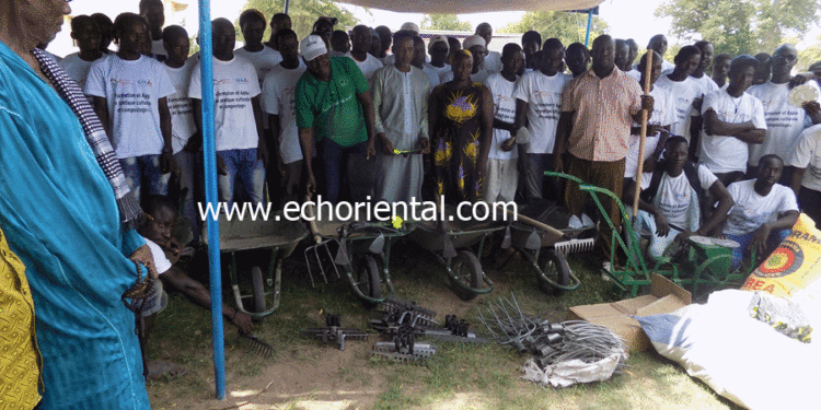 Niani Toucouleur : Le programme « Réussir au Sénégal » met du matériel agricole à la disposition des jeunes outillés