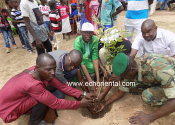 Journée nationale de l’arbre à Tambacounda: Kothiary à l’honneur