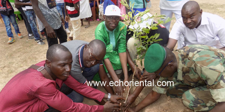 Journée nationale de l’arbre à Tambacounda: Kothiary à l’honneur