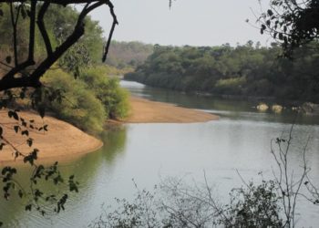 TRES URGENT : Fleuve Gambie, « la cote d’alerte de 6,00 m est dépassée, les bananeraies qui bordent les rives du fleuve aux environs de Gouloumbou menacées »