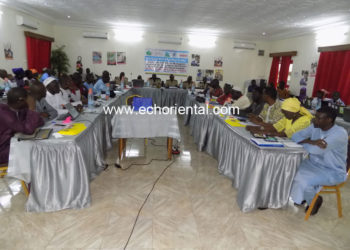 Tambacounda : Aprovag,  Am Be Koun,  Yaakar Niani Wouli et le Grdr, soutenus par ActionAid, pour une éducation de qualité par l’amélioration du respect des droits de l’enfant.