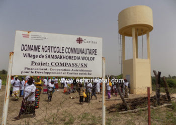 Journée Mondiale de l’Alimentation à Tamba: Caritas met en œuvre d’importants programmes pour le renforcement de la sécurité alimentaire