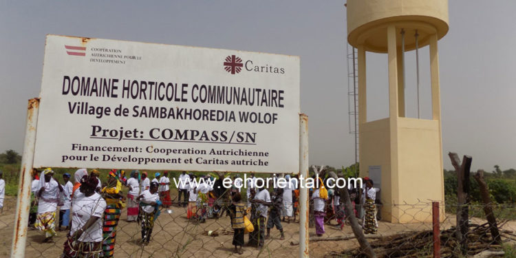 Journée Mondiale de l’Alimentation à Tamba: Caritas met en œuvre d’importants programmes pour le renforcement de la sécurité alimentaire