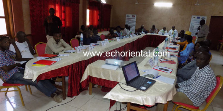 Tamba-Kédougou : certification citoyenne, les acteurs locaux outillés